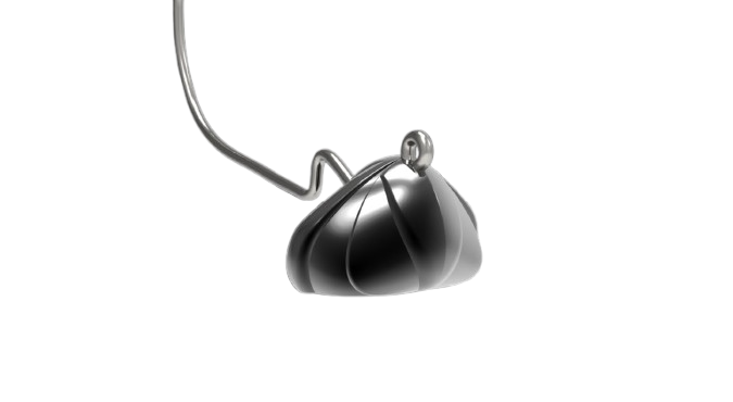 Ami AGR Testa traballante nera opaca 3/0