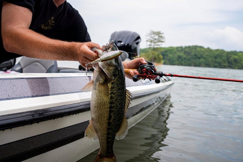 Esca artificiale Berkley Choppo 90 mm 14g HDGSH