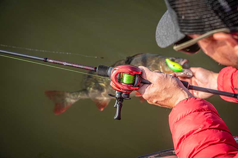 Canna Fox Rage Warrior Zander Cast 2,10 m