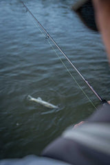 Canna Fox Rage Warrior Zander Jig 2,40 m