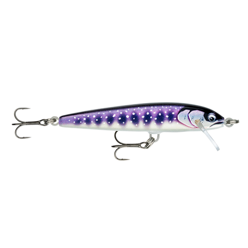 Jerkbait Rapala Galleggiante Elite 85 GDIW