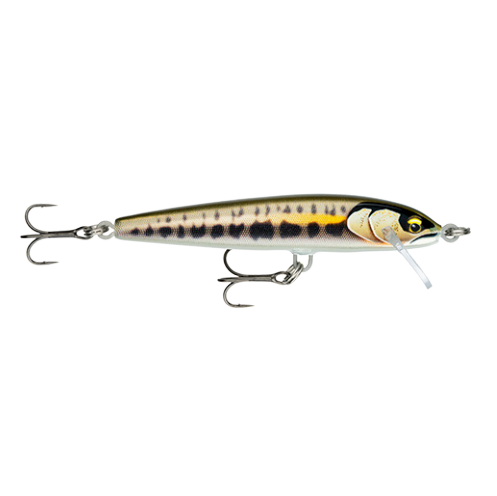 Jerkbait Rapala Galleggiante Elite 85 GDMN