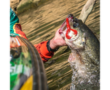 Softbait Strike King Craw 101 mm Delta Red