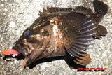 Anzuelos Decoy Worm 30 Makisasu - Tienda Bass