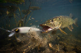 Jerkbaits Fox Rage Slick Stick 125F Ivory Baitfish - Tienda Bass