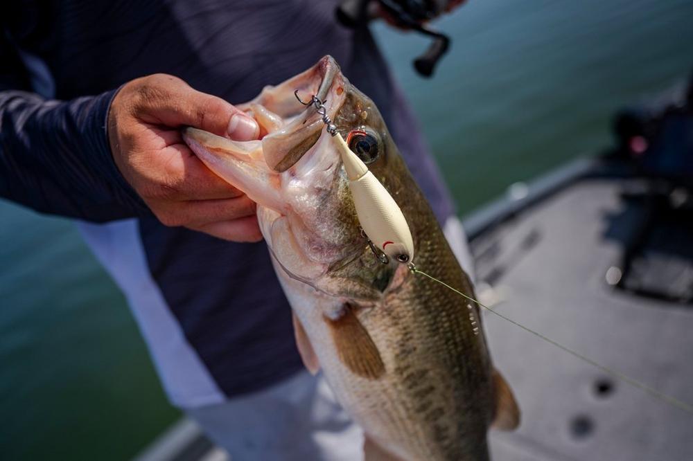 Señuelo Berkley Choppo 90 mm 14 g MFBG - Tienda Bass