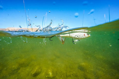 Señuelo Berkley Choppo 90 mm 14 g PGH - Tienda Bass